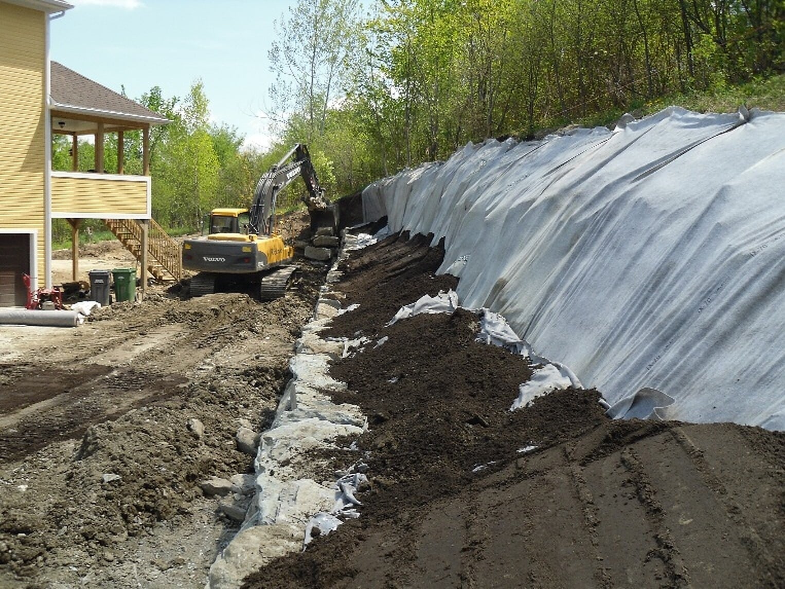 Before landscaping